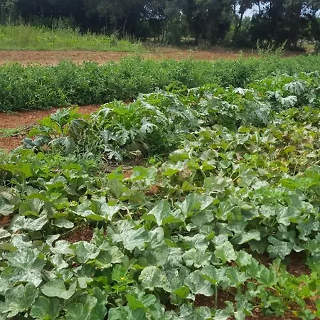Tenutaverde