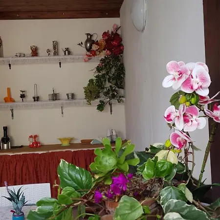 Tenutaverde *