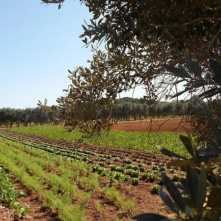 Casa de Campo Tenutaverde